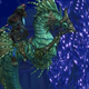 Screenshot: Fiendbane / Wowhead